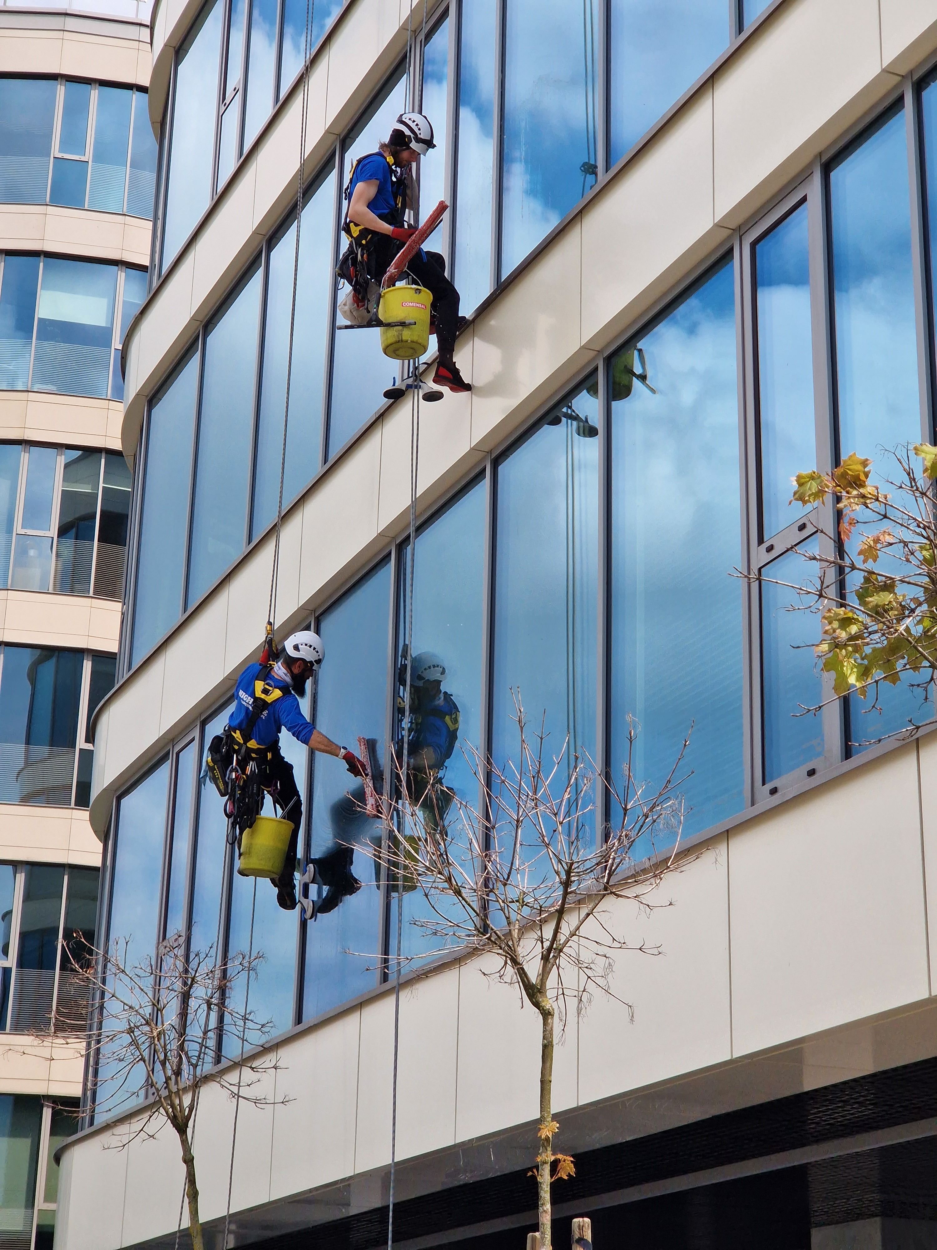 Professionelle Fensterreinigung an einer Glasfassade